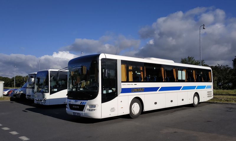 Dopravce Lingeta provozuje regionální autobusové linky zejména ve smìru na západ od Karlových Varù a také MHD v sousedním Sokolovì. Naposledy obnovil tento dopravce vozový park autobusy MAN (8 v pøímìstské verzi a 4 v mìstské verzi) v roce 2018.