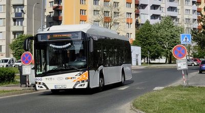 Tbor (kvten 2025)