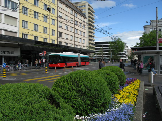 Trolejbusy jsou základem MHD v Bielu - každá z linek 1 a 4 jezdí v intervalu 7-8 minut ve všední dny a 10 minut o víkendu. 20 zdejších trolejbusù je opatøeno èerveno-zeleným nátìrem.