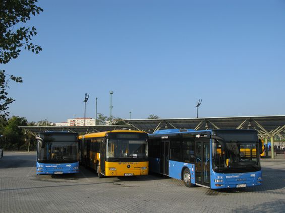 Èást novì soutìžených linek provozuje firma Volánbusz, proslulá zejména v regionální dopravì. Podmínkou je jednotný modrý nátìr. Zde jsou nové i starší vozy odstavené na regionálním autobusovém nádraží u nové stanice metra Kelenföld.