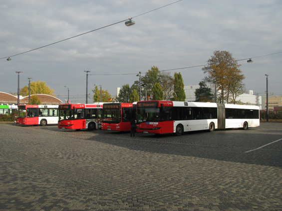 Ukázka složení autobusové flotily zdejšího dopravního podniku BSAG uvnitø tramvajové smyèky Sebaldsbrück. Pomìrnì velký podíl zde tvoøí kloubové autobusy. Nízkopodlažnost je samozøejmostí. Nejnovìjší autobusy pocházejí z MANu a Solarisu.
