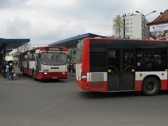 Zatímco vlakové nádraží životem nehýøí, vedlejší autobusové nádraží je opravdovým dopravním uzlem. Kvùli pomalým tramvajím a nezaintegrované železnici se tu po mìstì i okolí jezdí hlavnì autobusem.