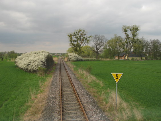 Širá tra� na turistické vlakové lince Dessau - Wörlitz. Padesátikilometrová rychlost je zde vzácností - vìtšinou jede vlak mnohem pomaleji.