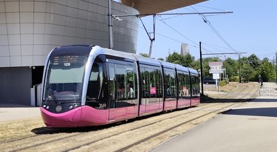 Dijon (�ervenec 2026)