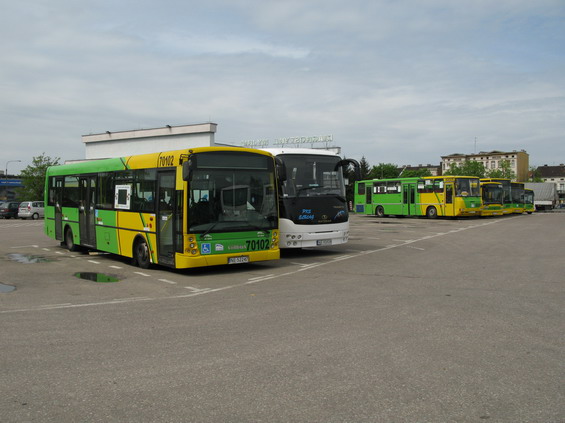 Mìstský dopravce MZK Elblag provozuje množství rùzných typù autobusù v jednotném zelenožlutém nátìru. Nìkteré nové autobusy pocházejí též z Polska (Solbus nebo Autosan).