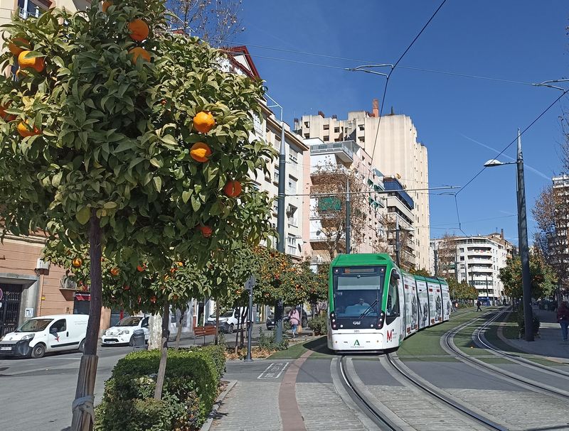 Vìtšinu trasy vede jediná tramvajová linka na samostatném tìlese, které je mnohdy zakryto umìlým trávníkem. Tratì také bývají lemovány pomeranèovníky. Pro provoz na 16 km dlouhé lince slouží 15 tramvají CAF Urbos 3.