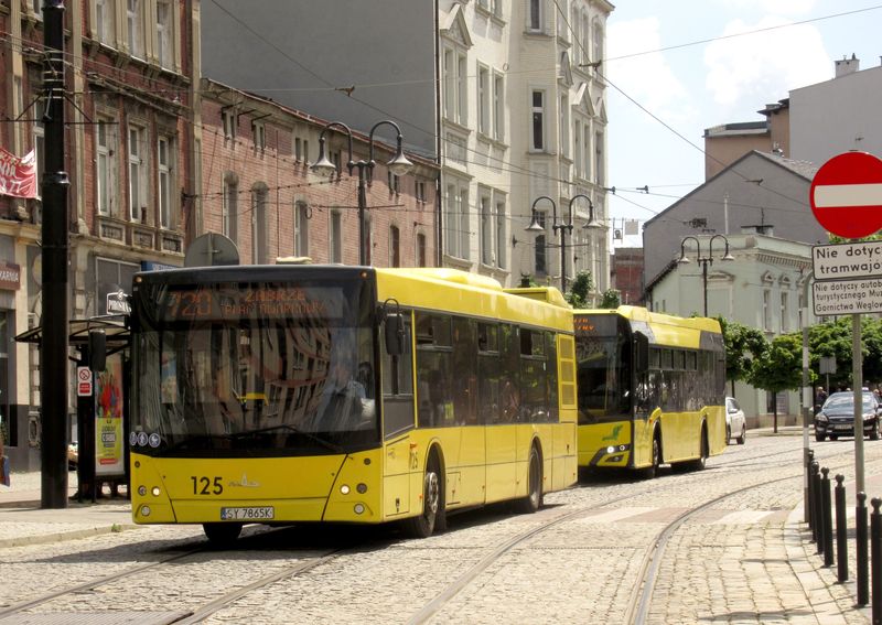 Místní autobusová linka spojující jednotlivá sídlištì v Zabrze jezdící v intervalu 40 minut ve špièkách pøijela do centra Zabrze v podání bìloruského autobusu MAZ. Tato znaèka je zde pomìrnì hojnì zastoupena.