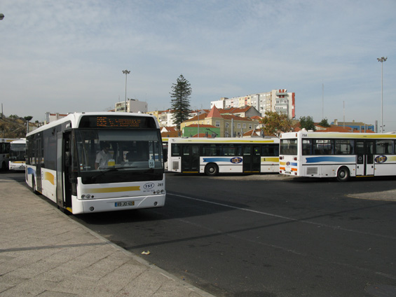 U pøístavištì Cacilhas na jižním bøehu øeky Tejo je velký dopravní terminál pro tramvaje a pro místní autobusy, které provozuje spoleènost  TST, disponující vìtšinou staršími autobusy Mercedes-Benz. Zde už není Lisabon, takže tu platí odlišný tarif místních dopravcù.