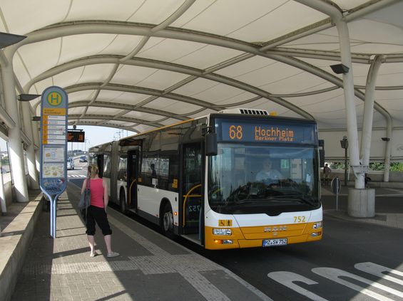 MVG provozuje na 31 linkách celkem 150 autobusù. Nejfrekventovanìjší linky mají pøes den interval 10 minut, èíslovány jsou od 54 výše. Linky míøící do Wiesbadenu, které jsou provozovány spoleènì s tamním dopravcem ESWE, jsou èíslovány naopak do 50. Hlavní spojnicí Mainzu a Wiesbadenu je páteøní linka 6 provozovaná spoleènì obìma mìstskými podniky. Autobusy MVG jsou žlutobílé, autobusy ESWE vìtšinou modrooranžovobílé.