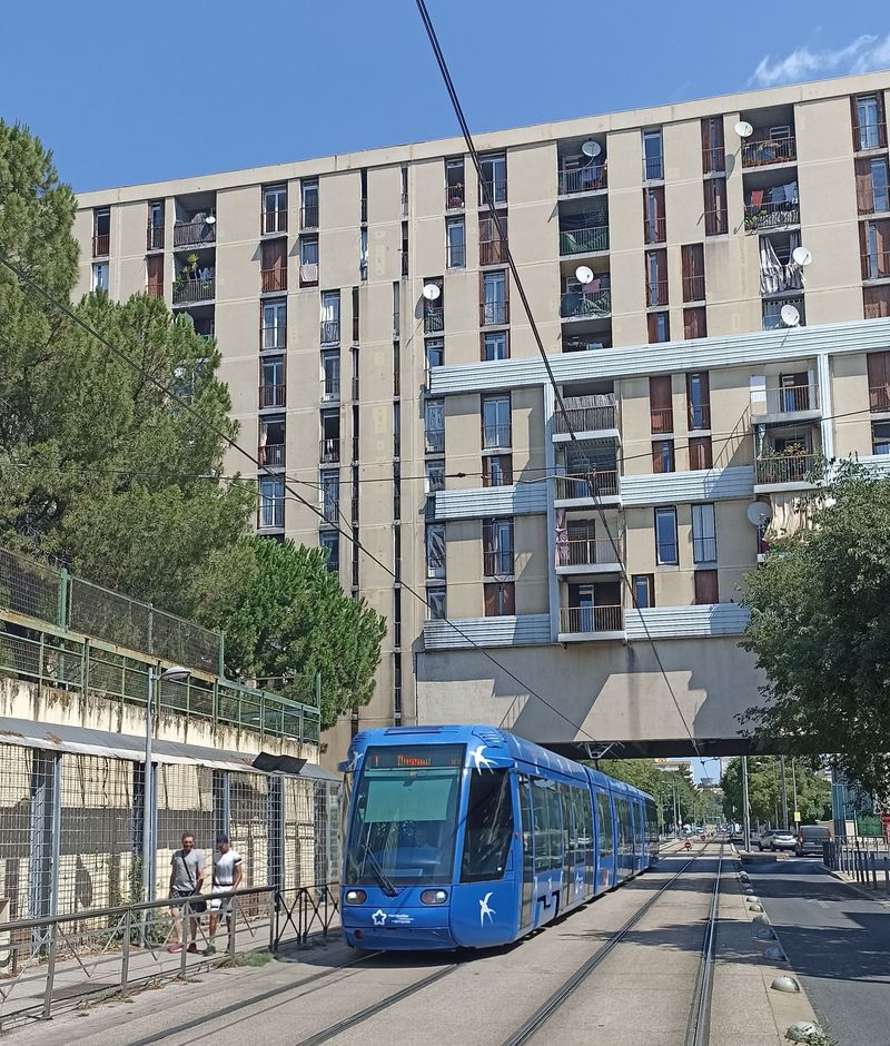 Modré tramvaje na lince 1 obsluhují v západní èásti trasy i nejvìtší místní sídlištì na pøedmìstí Mosson. První linka funguje už od roku 2000 a k tìmto 30 vozùm byly doplnìny další 3  Citadisy 402 z nejnovìjší série z let 2011-4.