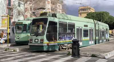 ��m (�nor 2026)