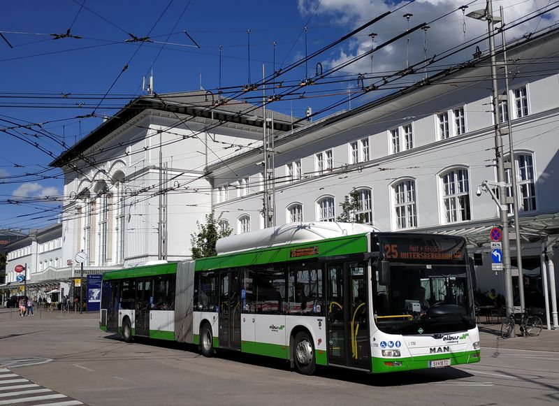 Mìstské autobusové linky zajiš�uje soukromý dopravce Albus Salzburg nejèastìji s autobusy MAN ve standardní i kloubové verzi ve svých vlastních barvách. Autobusové linky jsou èíslovány od 21 do 28. V nedávné minulosti byla èást autobusových linek nahrazena novými nebo prodlouženými trolejbusovými.