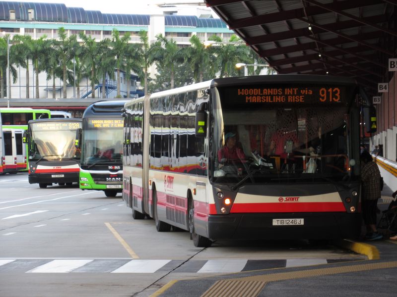 Dopravní ruch v terminálu Woodlands. Intenzita autobusového provozu je tak velká, že zde musejí upozoròovat øidièe autobusù velkými tabulemi, aby zbyteènì pøi prùjezdu terminálem nezdržovali. I o víkendu zde jezdí jeden autobus za druhým. Pøetížené èervené lince metra má v této severní okrajové èásti Singapuru pomoci nová hnìdá linka smìøující také na jih a do budoucna i na sever vstøíc hranicím s Malajsií. Pouze zde v severních pøedmìstích se také potkáte s kloubovými autobusy.
