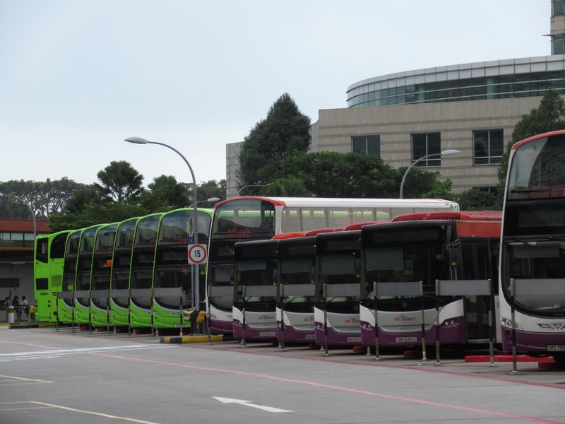Èervenofialovobílé autobusy dopravce SBS Transit ve spoleènosti novìjších zelených autobusù jednotného mìstského nátìru. V posledních 5 letech (2012-2017) bylo do rozvoje a modernizace autobusové dopravy výraznì investováno (v pøepoètu cca 16 miliard Kè). Na mnoha linkách se zkrátily intervaly, vznikla øada zcela nových linek.