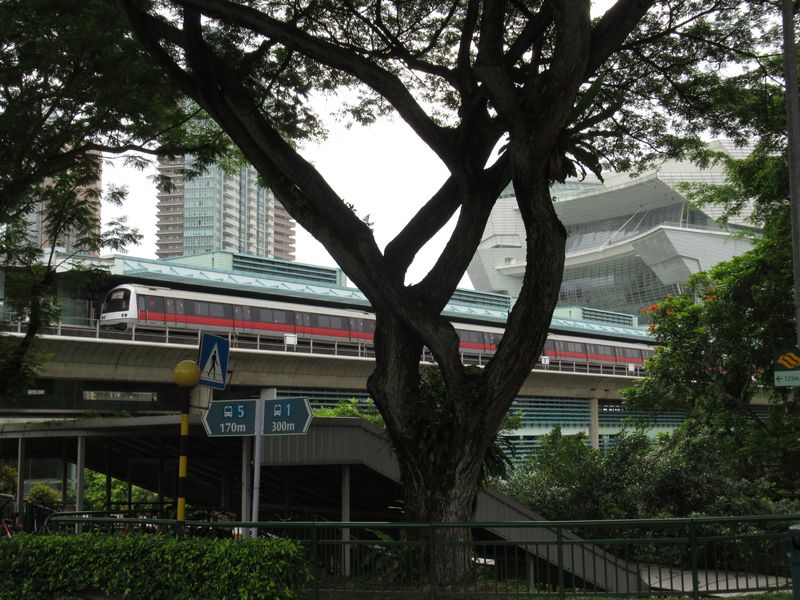 Nadzemní stanice Buona Vista pro zelenou linku je od roku 2011 pøestupní s podzemní automatickou žlutou linkou. Nedaleko ní najdete pozùstatky železnièní trati z Malajsie do centra Singapuru, zrušené také v roce 2011. Nadzemní stanice jsou otevøené, klimatizaci zde zastupují výkonné vìtráky, které pomáhají zvládat zdejší tropické poèasí.