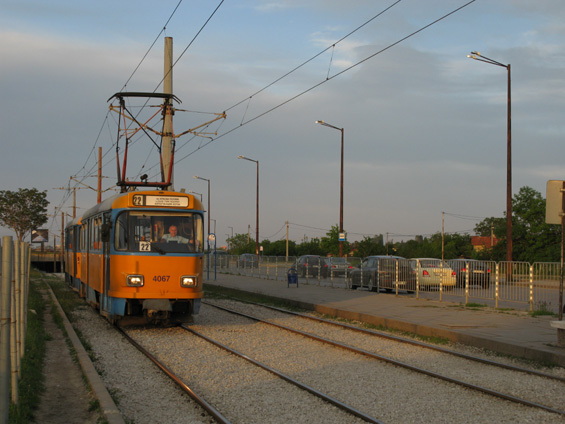 Na normálnìrozchodné lince 22 jezdí hlavnì ojeté tramvaje T4D+B4D dodané z nìmeckého Lipska v roce 2010 v poètu 15 souprav. Vozy jsou udržovány v pùvodním nátìru.