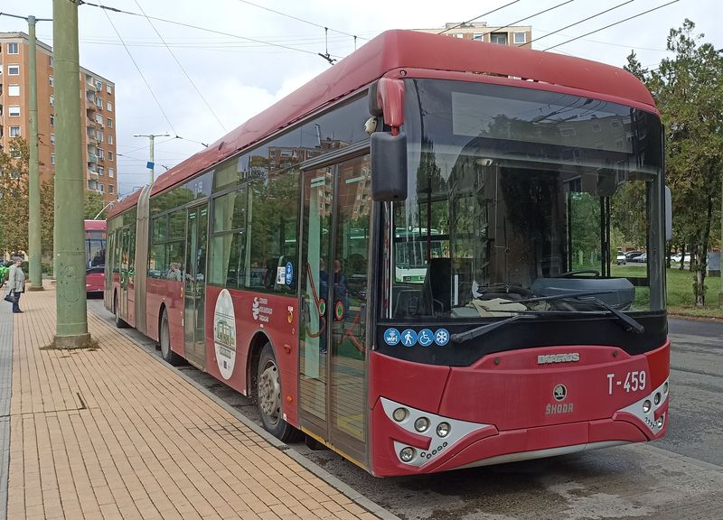 Další kloubový Ikarus-Škoda na sídlištní koneèné Makkosház poblíž severní koneèné tramvajové linky 2. Flotila kloubových autobusù v Szegedu pøevažuje – celkem jich tu jezdí cca 40, kdežto krátkých trolejbusù je jen 25.