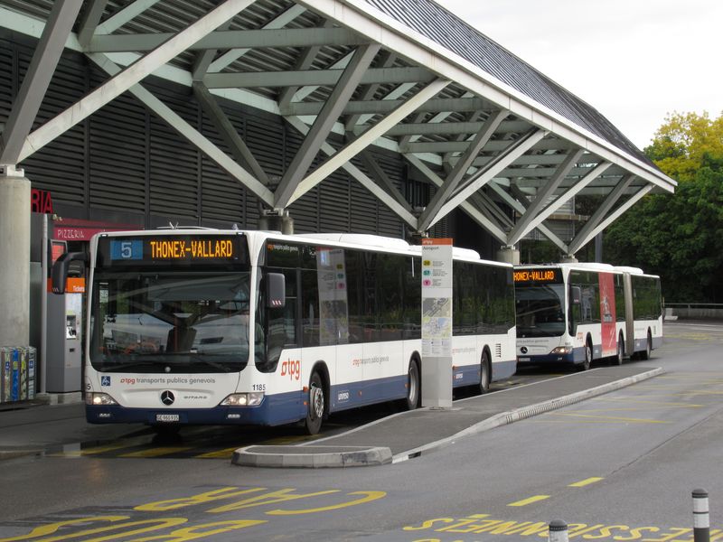 Kromì vlakù a trolejbusù se mùžete z letištì dostat do centra také autobusovou linkou 5, která navíc jede pomìrnì daleko na východní okraj Ženevy. Mìstské autobusy dopravce TPG mají tento jednotný nátìr.