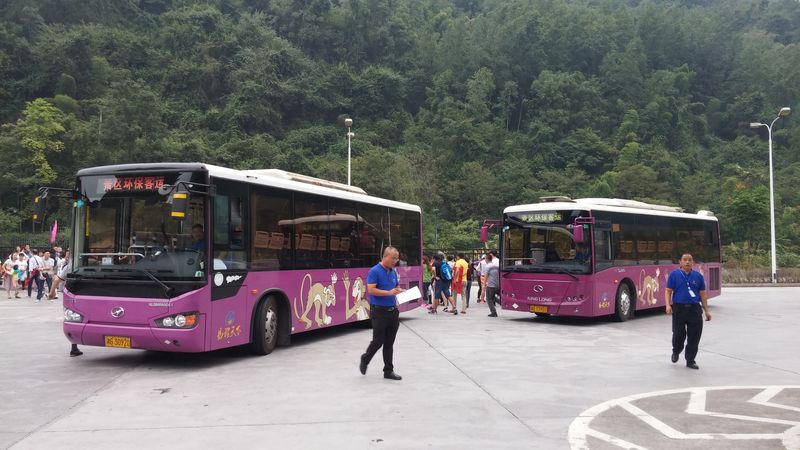 Odhadem cca 150 takových autobusů slouží uvnitř národního parku pro dopravu turistů z jedné lokality do druhé. Nejdelší je trasa z centra parku k jeho východní bráně u hranic městečka Wulingyuan. Cesta je dlouhá a klikatá a před každou zatáčkou upozorňuje akustické hlášení ve voze, aby se cestující drželi.